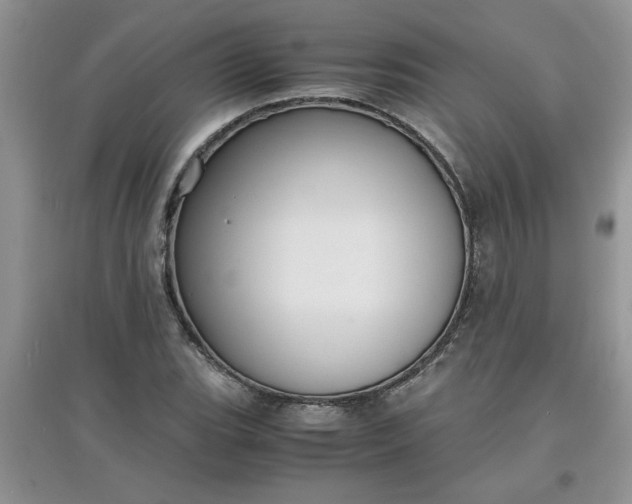 X0000097621119200803141956