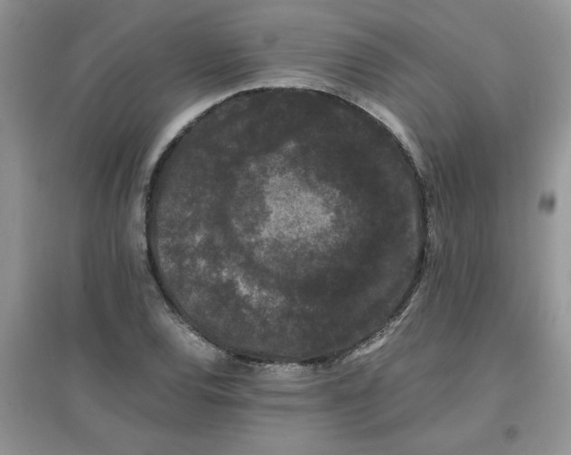 X0000097621120200803141956