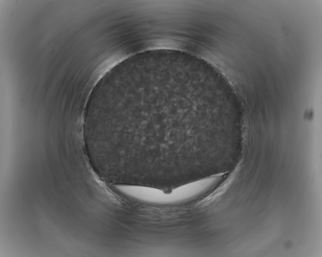X0000097621121200803141956