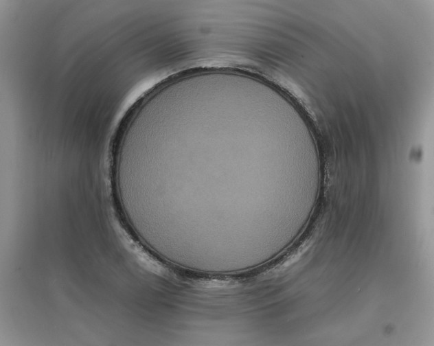 X0000097621122200803141956