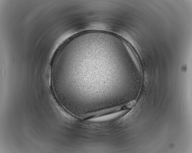 X0000097621123200803141956