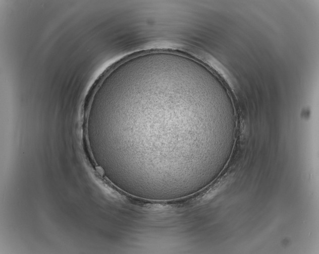 X0000097621124200803141956