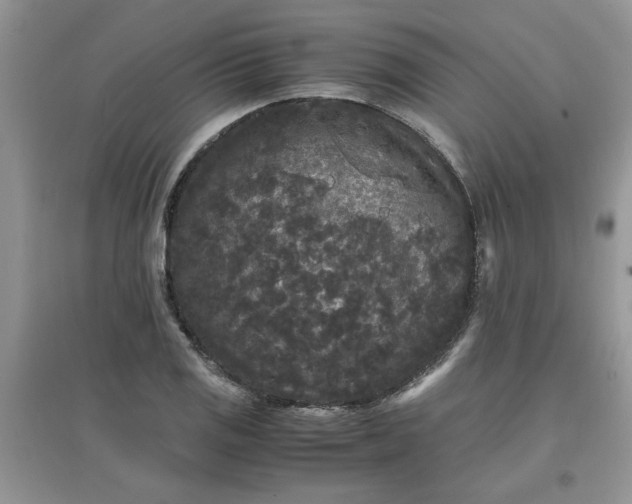 X0000097621125200803141956