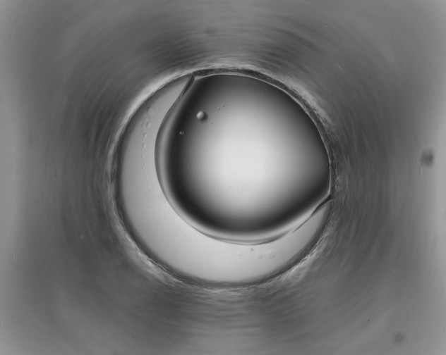 X0000097621126200803141956