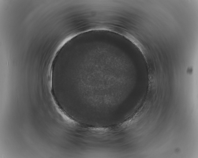 X0000097621127200803141956