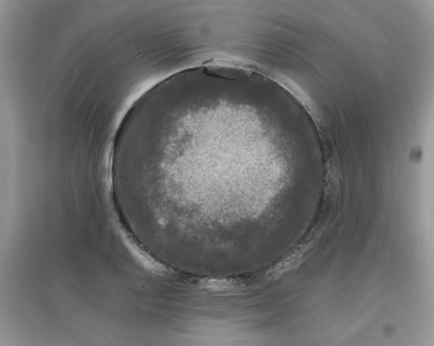 X0000097621128200803141956