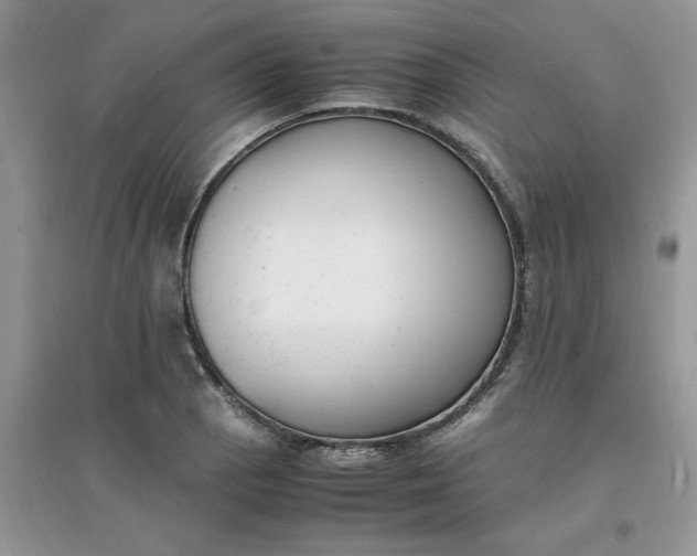 X0000097621129200803141956