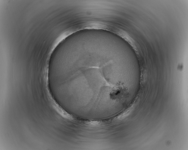 X0000097621130200803141956