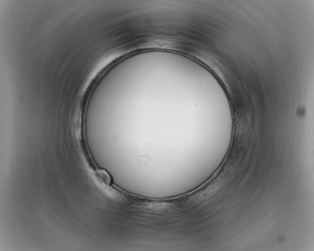 X0000097621131200803141956