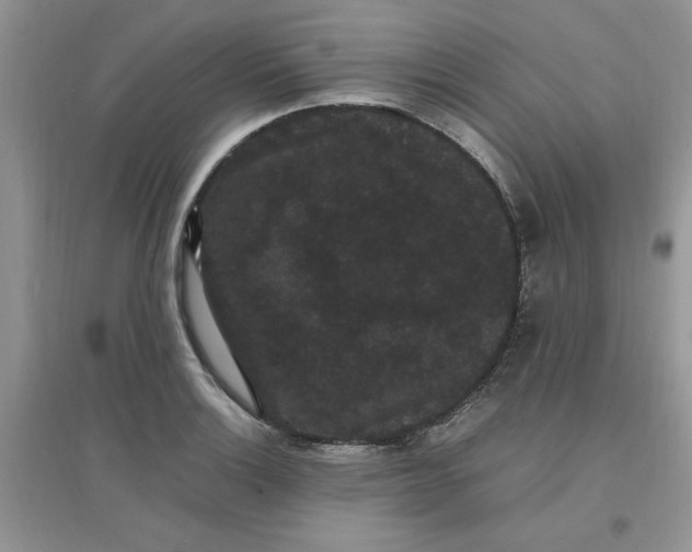 X0000097621132200803141956