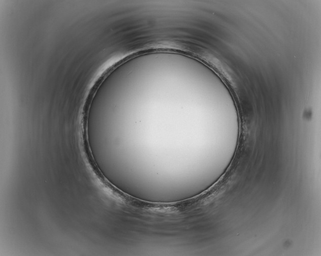 X0000097621133200803141956