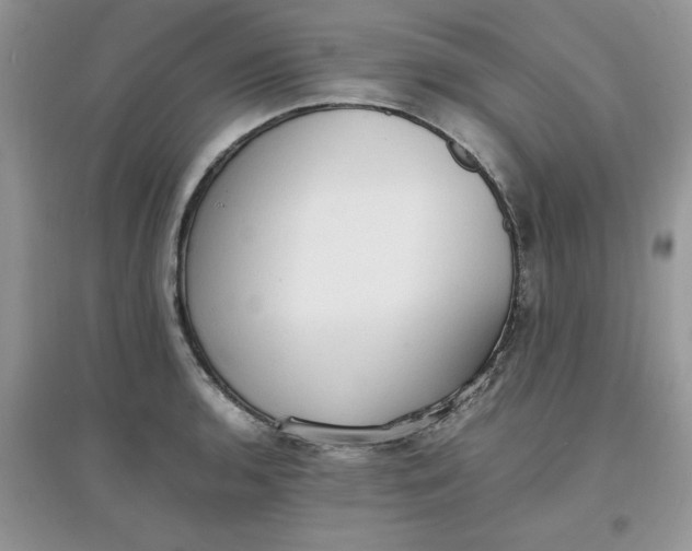 X0000097621136200803141956