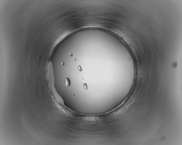 X0000097621137200803141956