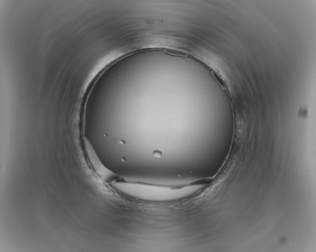 X0000097621138200803141956