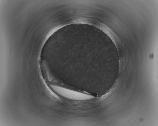 X0000097621141200803141956
