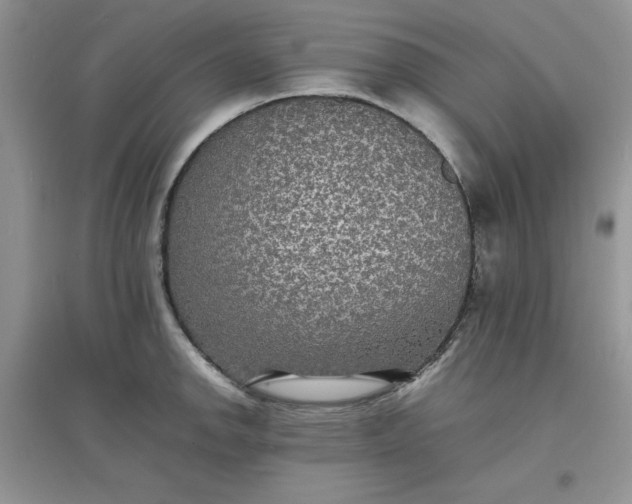 X0000097621142200803141956