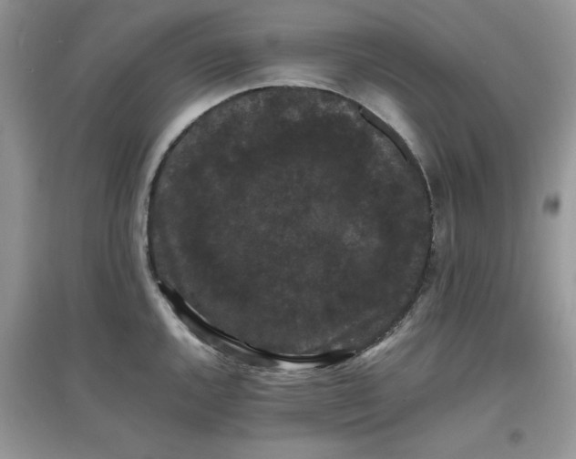 X0000097621144200803141956