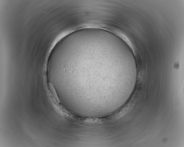 X0000097621146200803141956