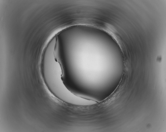 X0000097621147200803141956