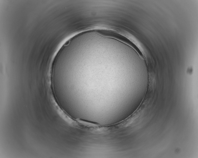 X0000097621148200803141956