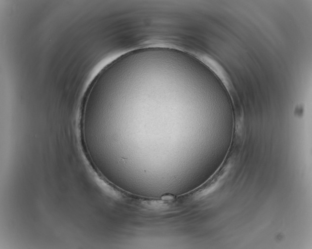 X0000097621149200803141956