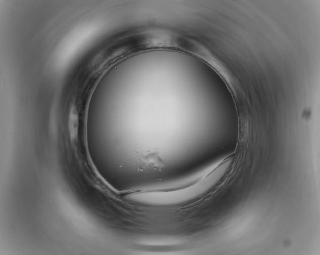 X0000097621151200803141956