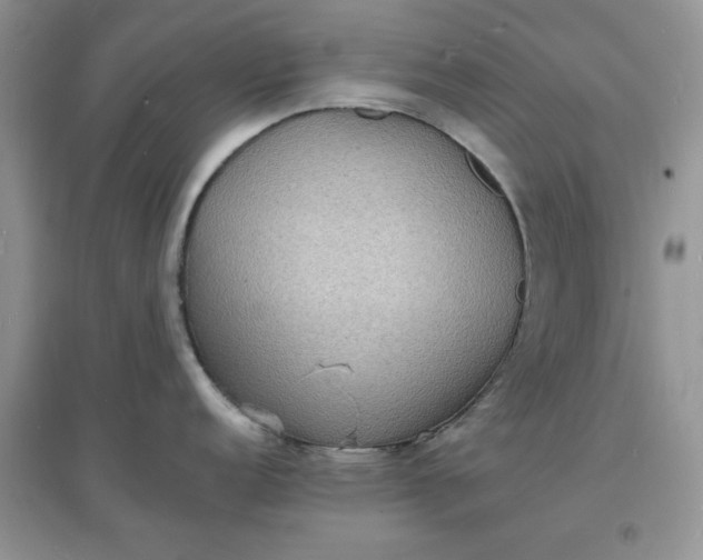 X0000097621152200803141956