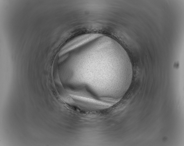X0000097621153200803141956