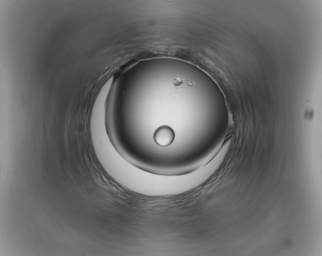 X0000097621154200803141956