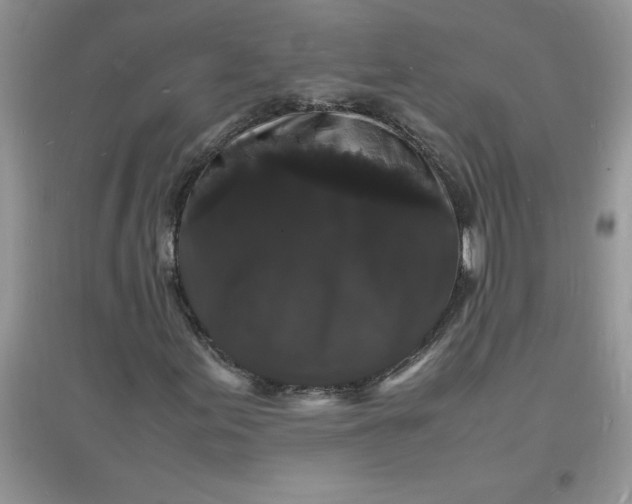 X0000097621155200803141956