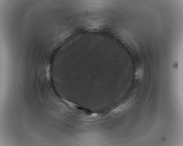 X0000097621156200803141956