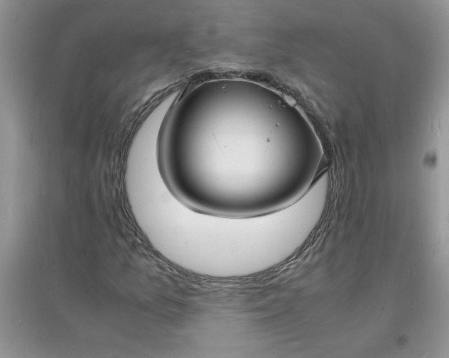 X0000097621157200803141956