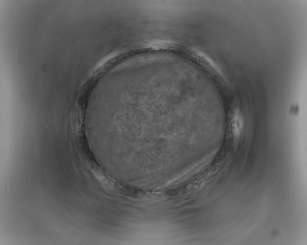 X0000097621158200803141955