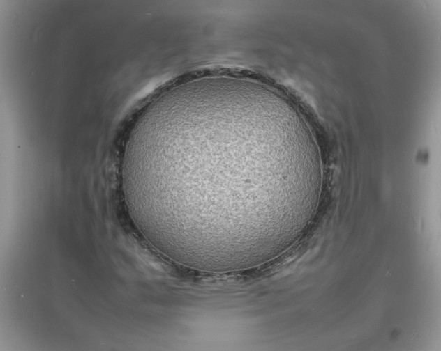 X0000097621159200803141955