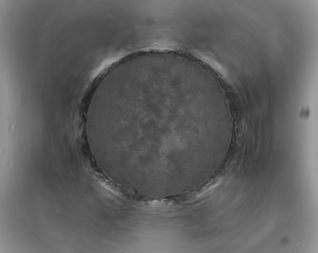X0000097621160200803141955
