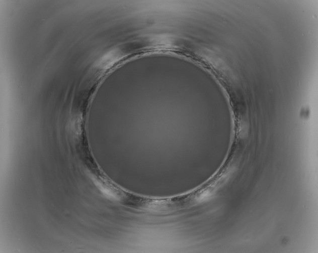 X0000097621161200803141955