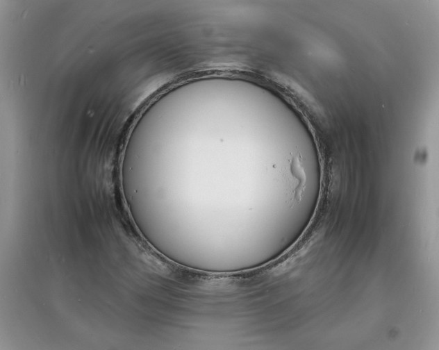 X0000097621162200803141955
