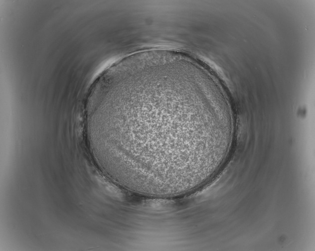 X0000097621163200803141955