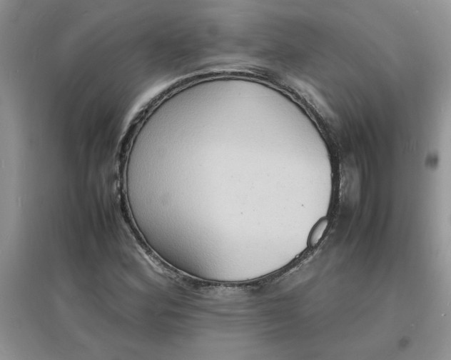 X0000097621164200803141955