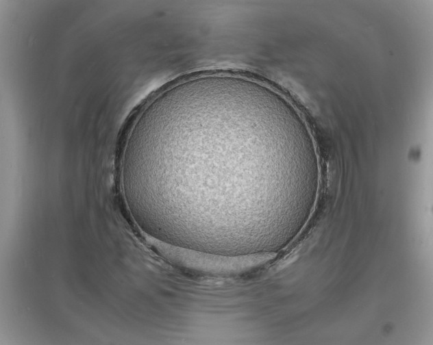 X0000097621165200803141955