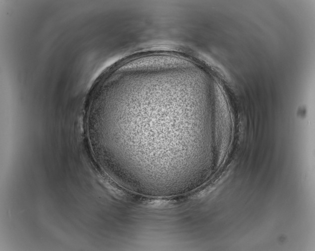X0000097621166200803141955