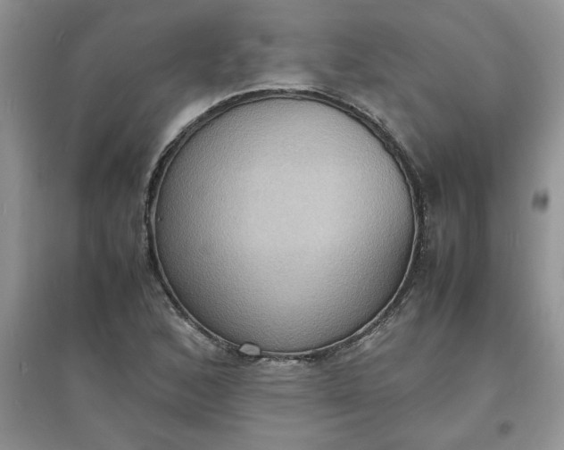 X0000097621168200803141955