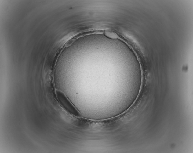 X0000097621169200803141955