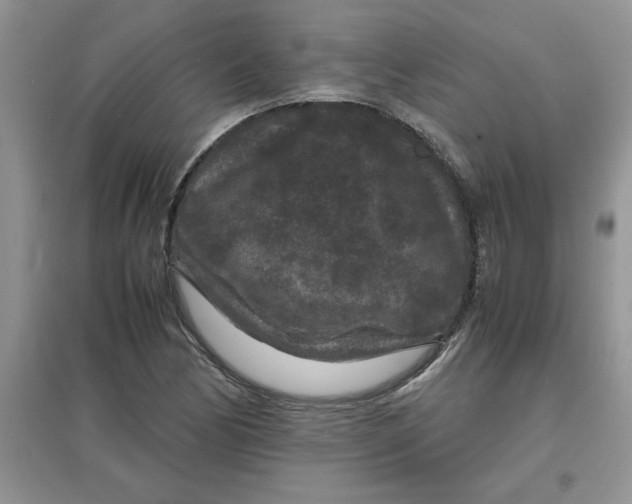 X0000097621170200803141955