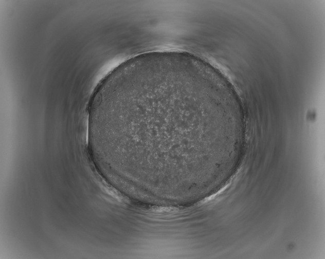 X0000097621171200803141955