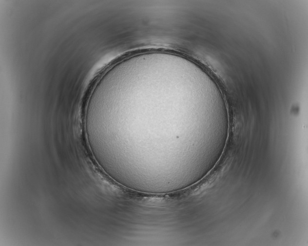 X0000097621172200803141955