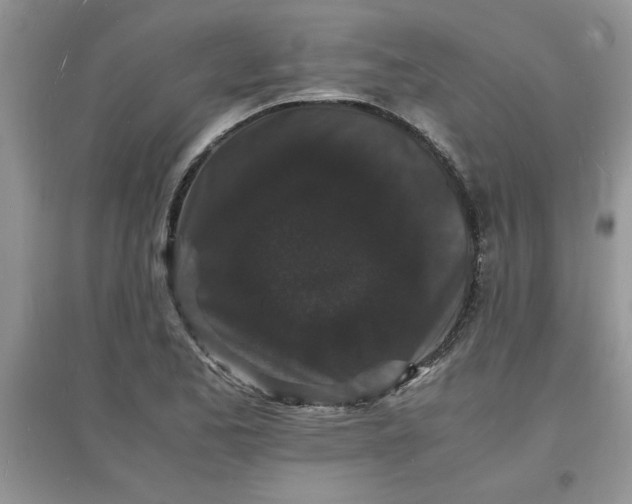 X0000097621173200803141955