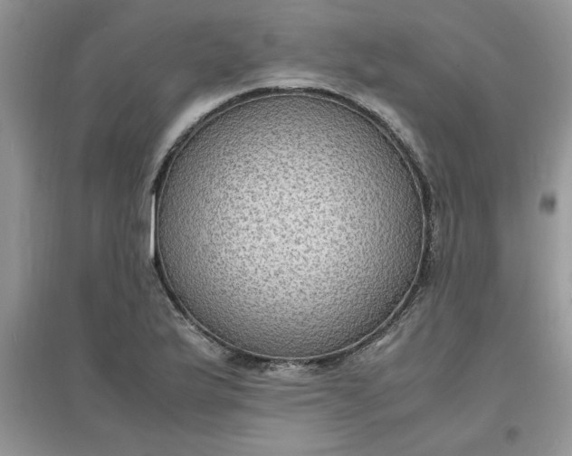 X0000097621175200803141955