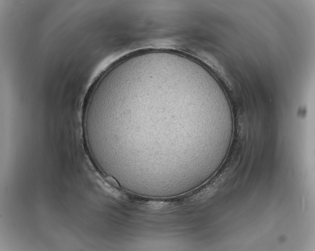 X0000097621176200803141955