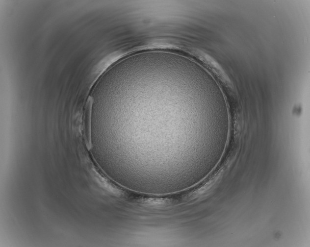 X0000097621177200803141955